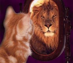 gatto_leone